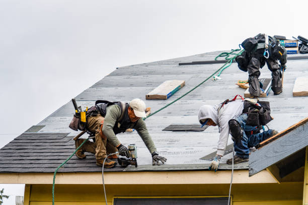 Professional Storm Damage Roof Repair technician working in Palomar Mountain, CA