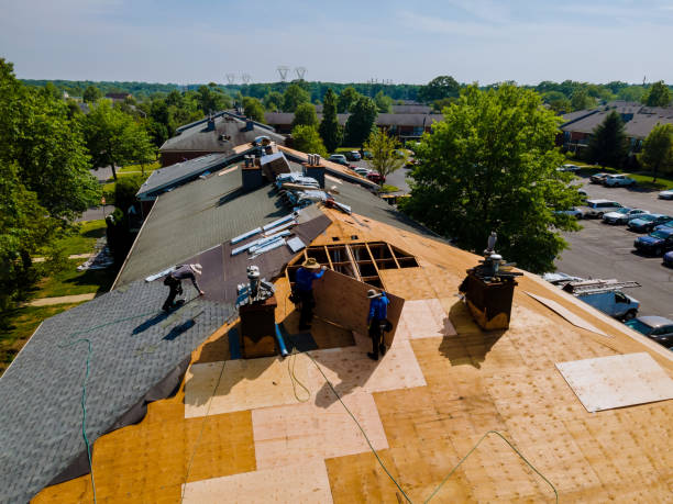 Trusted Storm Damage Roof Repair service in Palomar Mountain, CA - Brentwood Metal Roofing